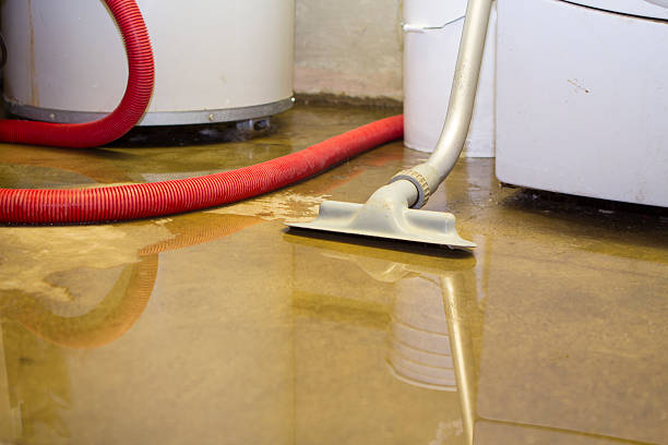  Lebanon, KY Water damage restoration Pros