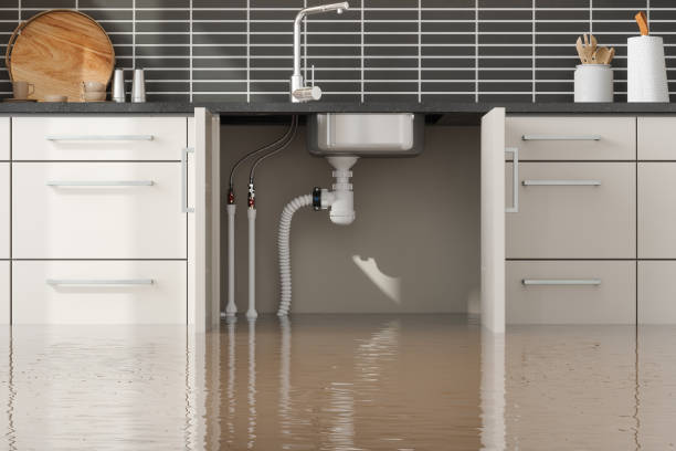 Best Water damage restoration near me  in Lebanon, KY