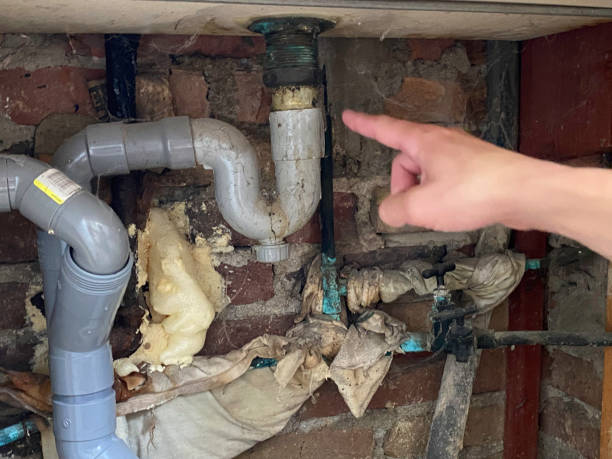 Best Residential water damage restoration  in Lebanon, KY